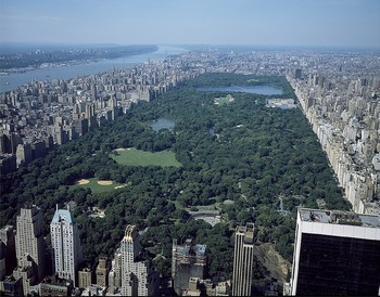 Skyline View Manhattan Landmark Nyc Park Central